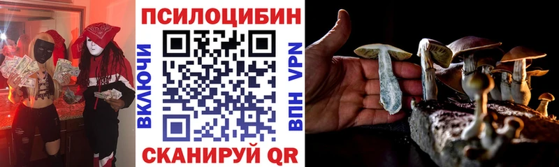 Купить  Копейск  Галлюциногенные грибы Psilocybe 